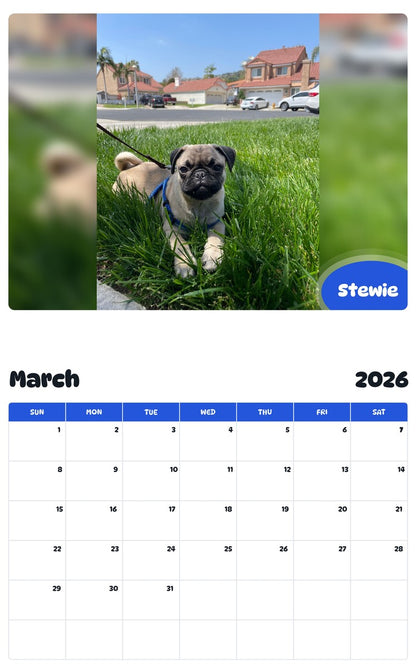 November 2025 - October 2026 Stewie - Pawidols Pet Calendar