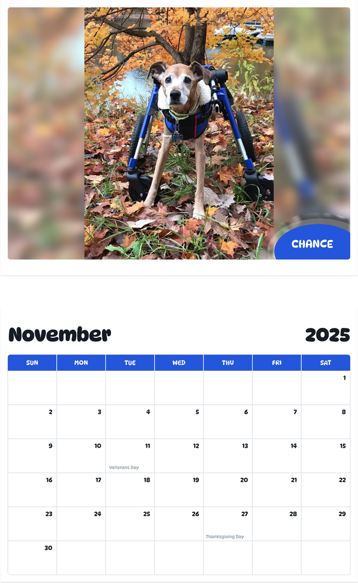 July 2025 - June 2026 Chance - Pawidols Pet Calendar