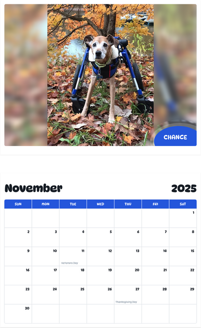 July 2025 - June 2026 Chance - Pawidols Pet Calendar
