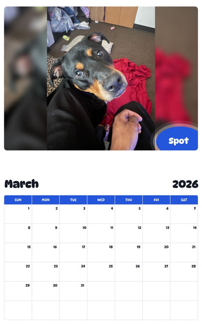November 2025 - October 2026 Spot - Pawidols Pet Calendar