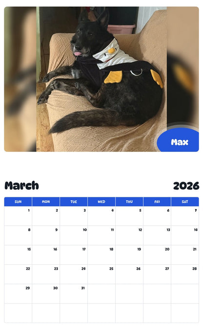 November 2025 - October 2026 Max - Pawidols Pet Calendar