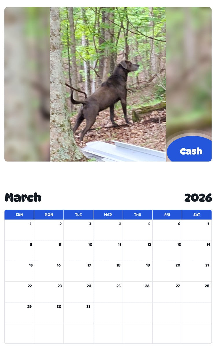 November 2025 - October 2026 Cash - Pawidols Pet Calendar