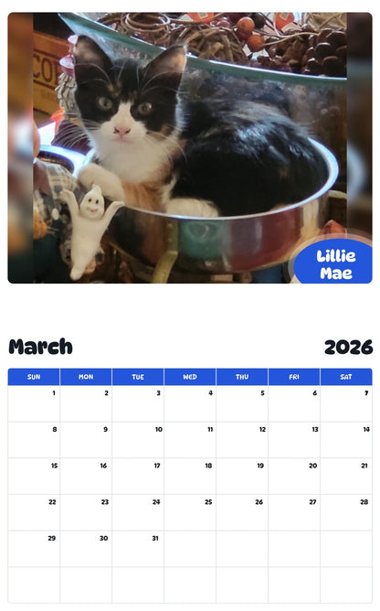 November 2025 - October 2026 Lillie Mae - Pawidols Pet Calendar