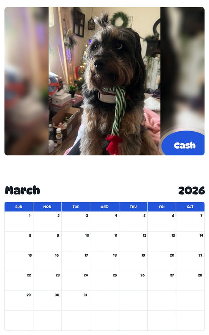November 2025 - October 2026 Cash - Pawidols Pet Calendar