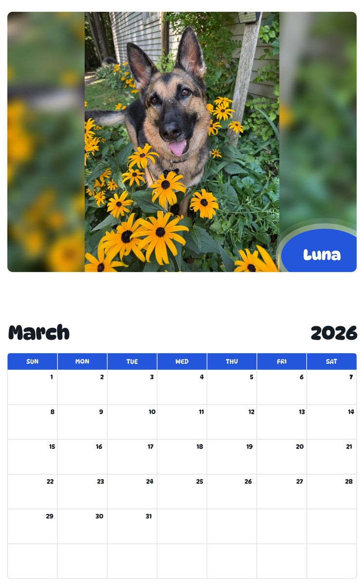 November 2025 - October 2026 Luna - Pawidols Pet Calendar