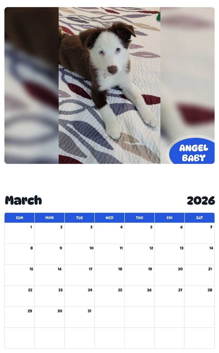 November 2025 - October 2026 ANGEL BABY - Pawidols Pet Calendar