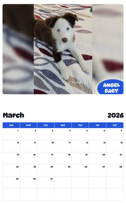 November 2025 - October 2026 ANGEL BABY - Pawidols Pet Calendar