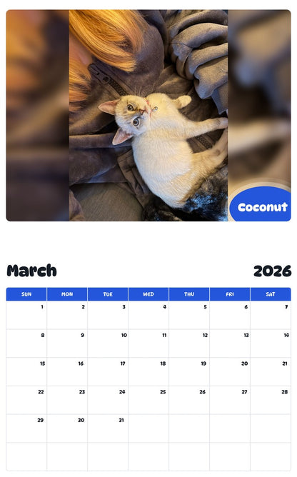 November 2025 - October 2026 Coconut - Pawidols Pet Calendar