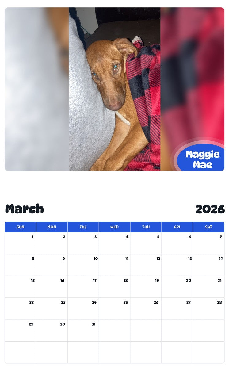 November 2025 - October 2026 Maggie Mae - Pawidols Pet Calendar