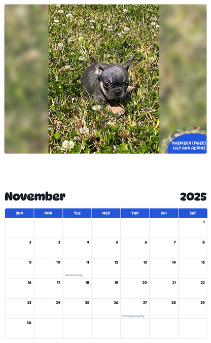 July 2025 - June 2026 Mazikeen (Maze) Lily Ann Adkins - Pawidols Pet Calendar
