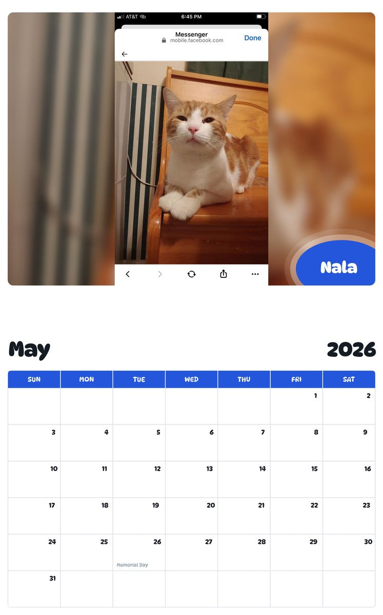 2026 - 2027 Nala - Pawidols Pet Calendar