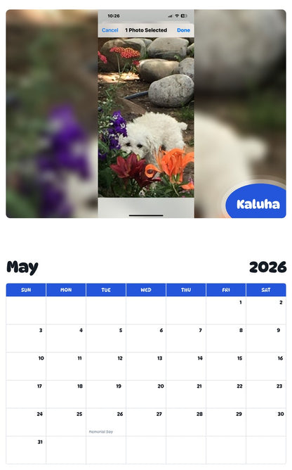 2026 - 2027 Kaluha - Pawidols Pet Calendar