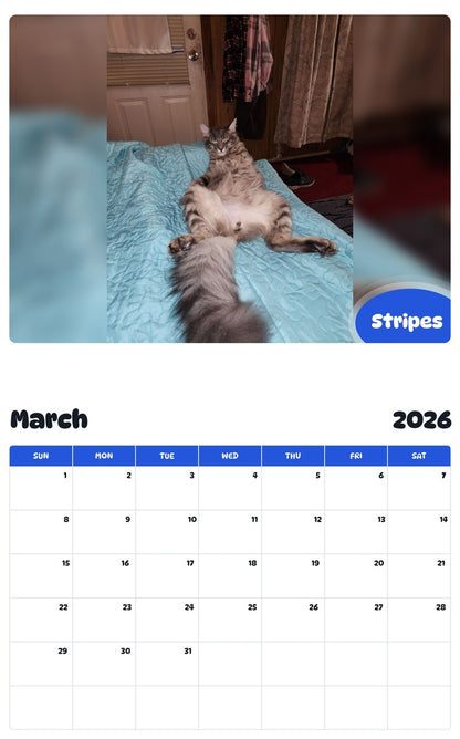 November 2025 - October 2026 Stripes - Pawidols Pet Calendar