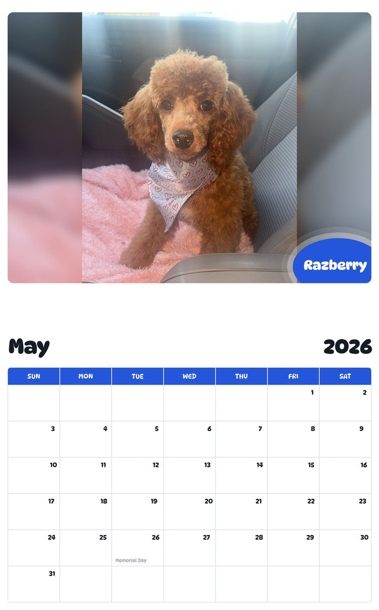 2026 - 2027 Razberry - Pawidols Pet Calendar