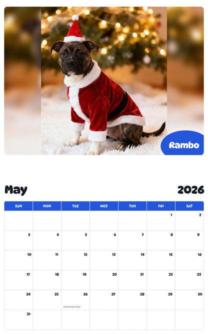 2026 - 2027 Rambo - Pawidols Pet Calendar