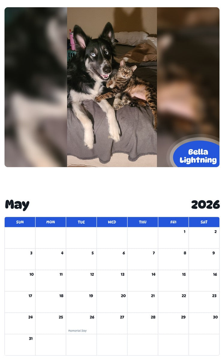 2026 - 2027 Bella Lightning - Pawidols Pet Calendar