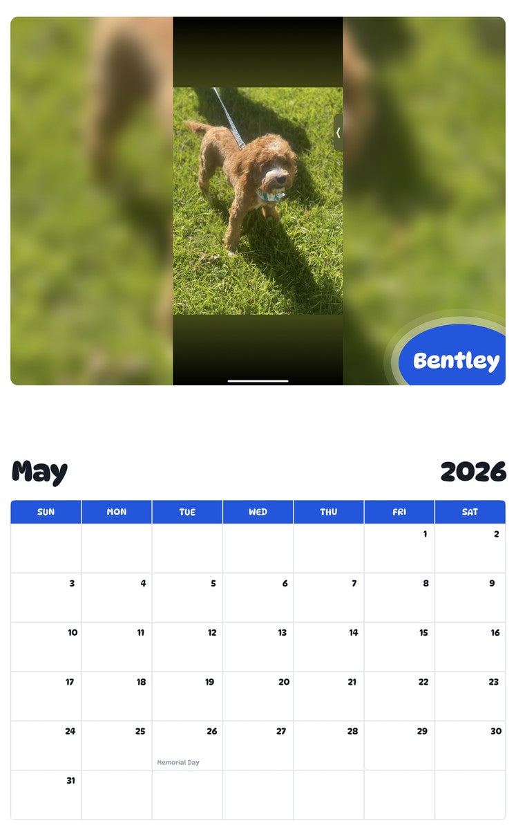 2026 - 2027 Bentley - Pawidols Pet Calendar