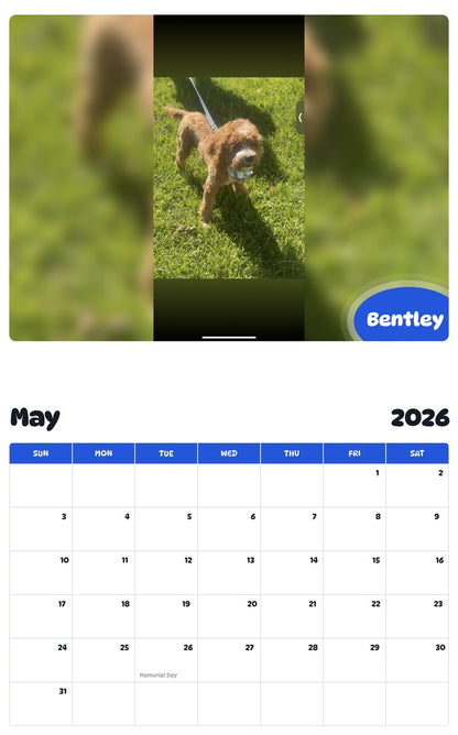 2026 - 2027 Bentley - Pawidols Pet Calendar