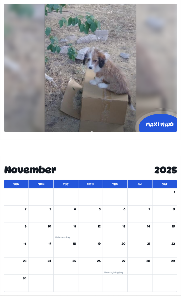 July 2025 - June 2026 Maxi Waxi - Pawidols Pet Calendar