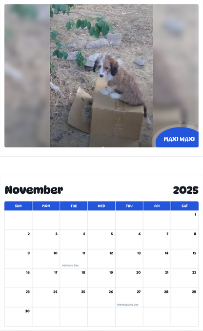 July 2025 - June 2026 Maxi Waxi - Pawidols Pet Calendar