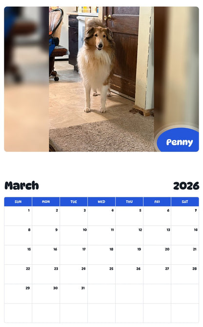 November 2025 - October 2026 Penny - Pawidols Pet Calendar