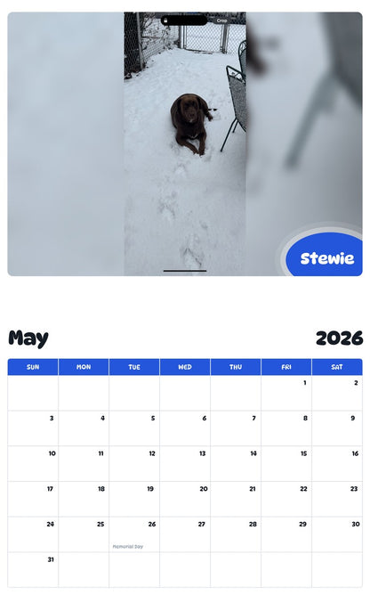 2026 - 2027 Stewie - Pawidols Pet Calendar