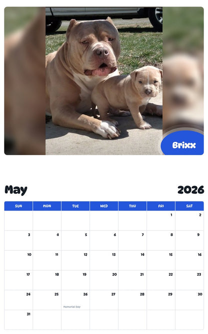 2026 - 2027 Brixx - Pawidols Pet Calendar