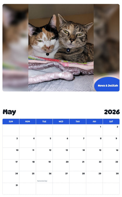 2026 - 2027 Nova & Delilah - Pawidols Pet Calendar