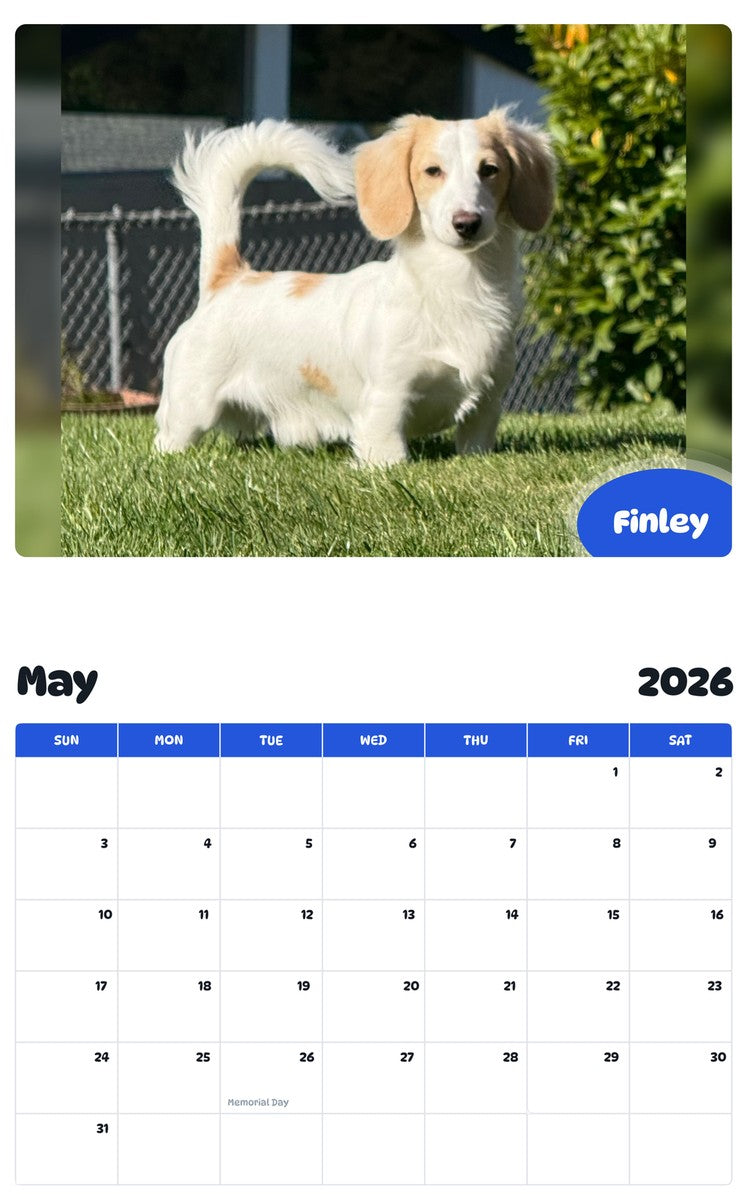 2026 - 2027 Finley - Pawidols Pet Calendar