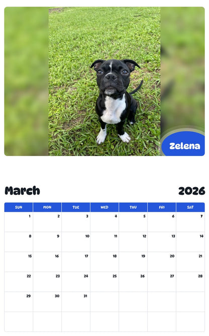 November 2025 - October 2026 Zelena - Pawidols Pet Calendar