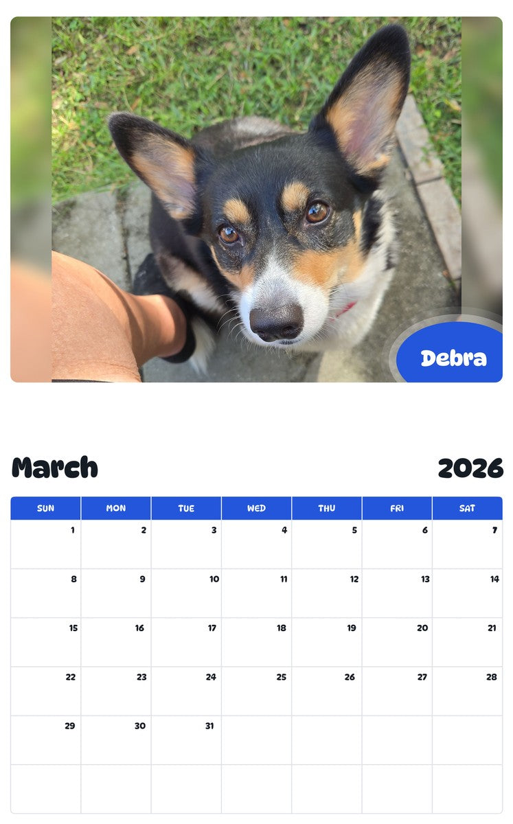 November 2025 - October 2026 Debra - Pawidols Pet Calendar