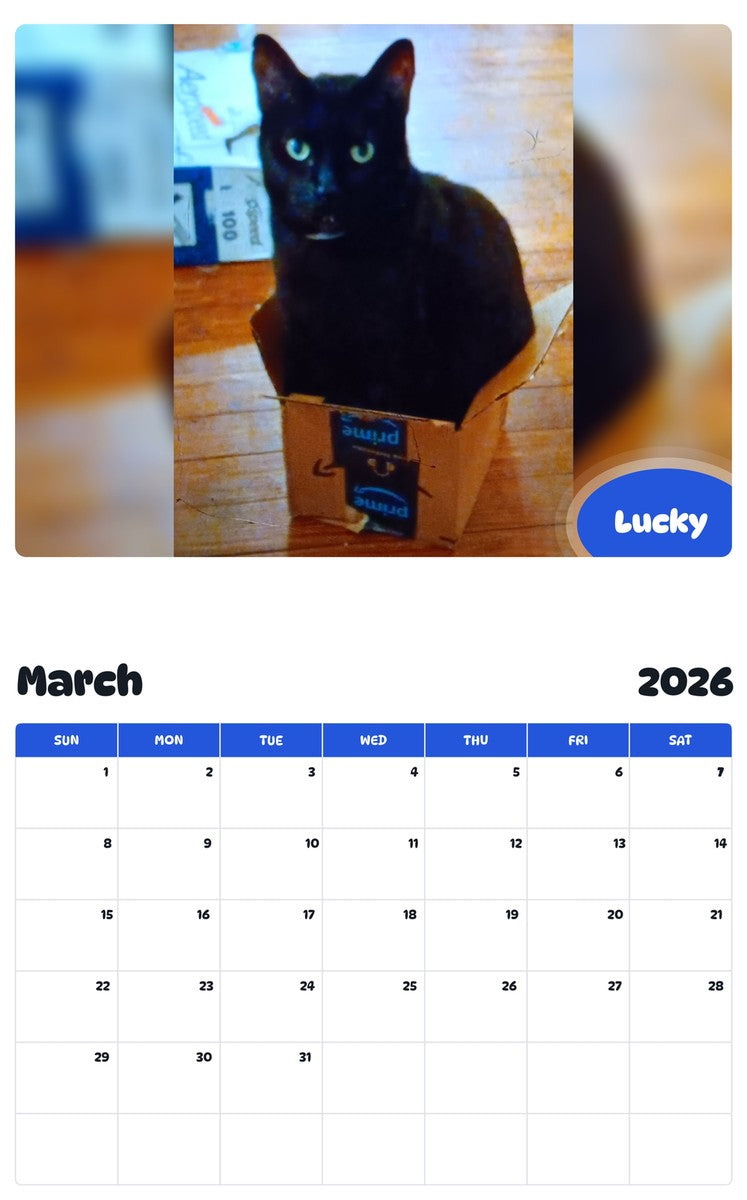 November 2025 - October 2026 Lucky - Pawidols Pet Calendar