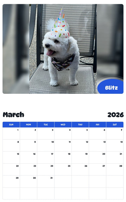 November 2025 - October 2026 Blitz - Pawidols Pet Calendar