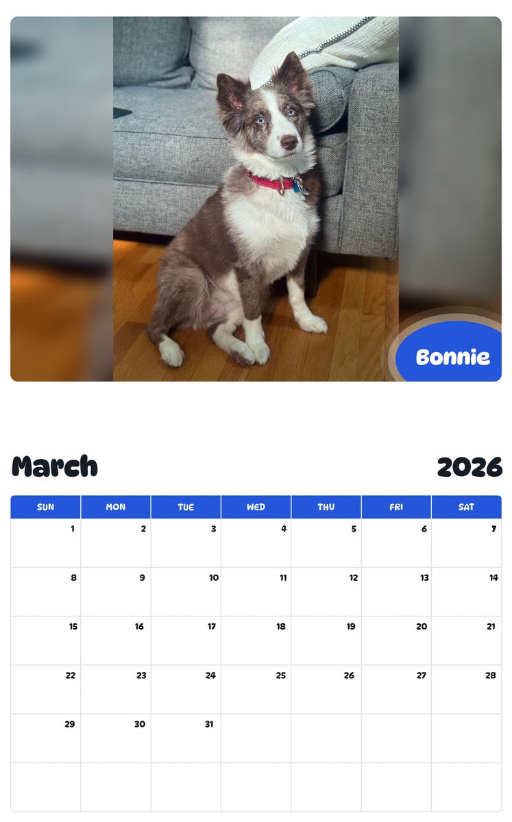 November 2025 - October 2026 Bonnie - Pawidols Pet Calendar