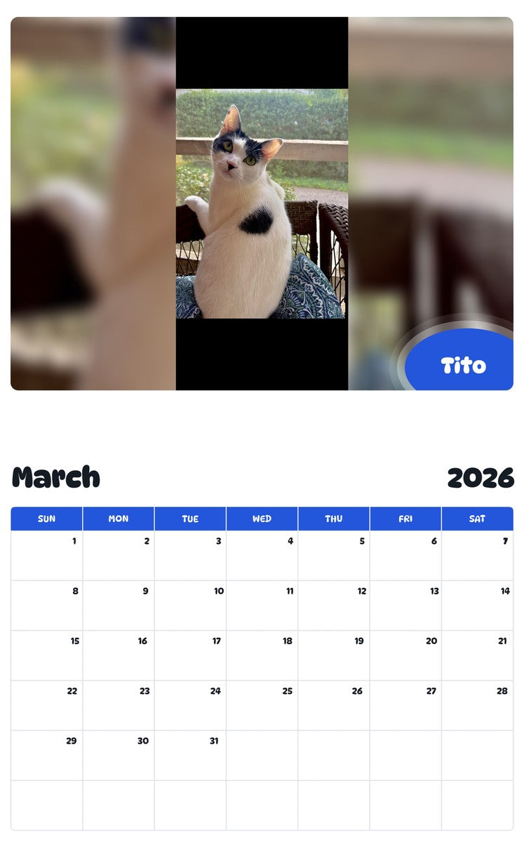 November 2025 - October 2026 Tito - Pawidols Pet Calendar