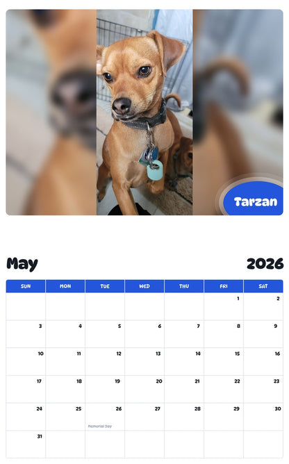 2026 - 2027 Tarzan - Pawidols Pet Calendar