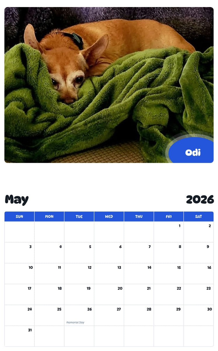 2026 - 2027 Odi - Pawidols Pet Calendar