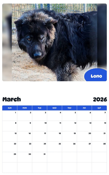 November 2025 - October 2026 Lono - Pawidols Pet Calendar