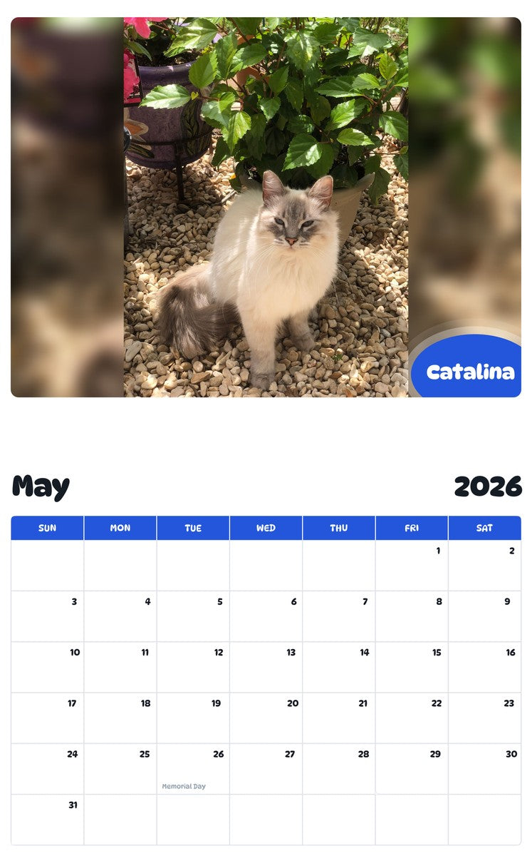 2026 - 2027 Catalina - Pawidols Pet Calendar