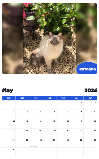 2026 - 2027 Catalina - Pawidols Pet Calendar