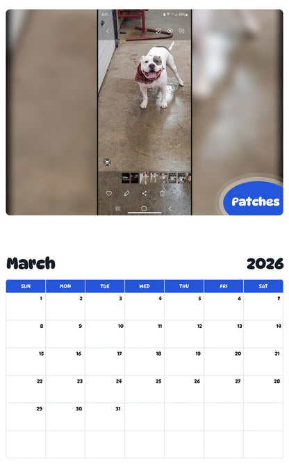 November 2025 - October 2026 Patches - Pawidols Pet Calendar