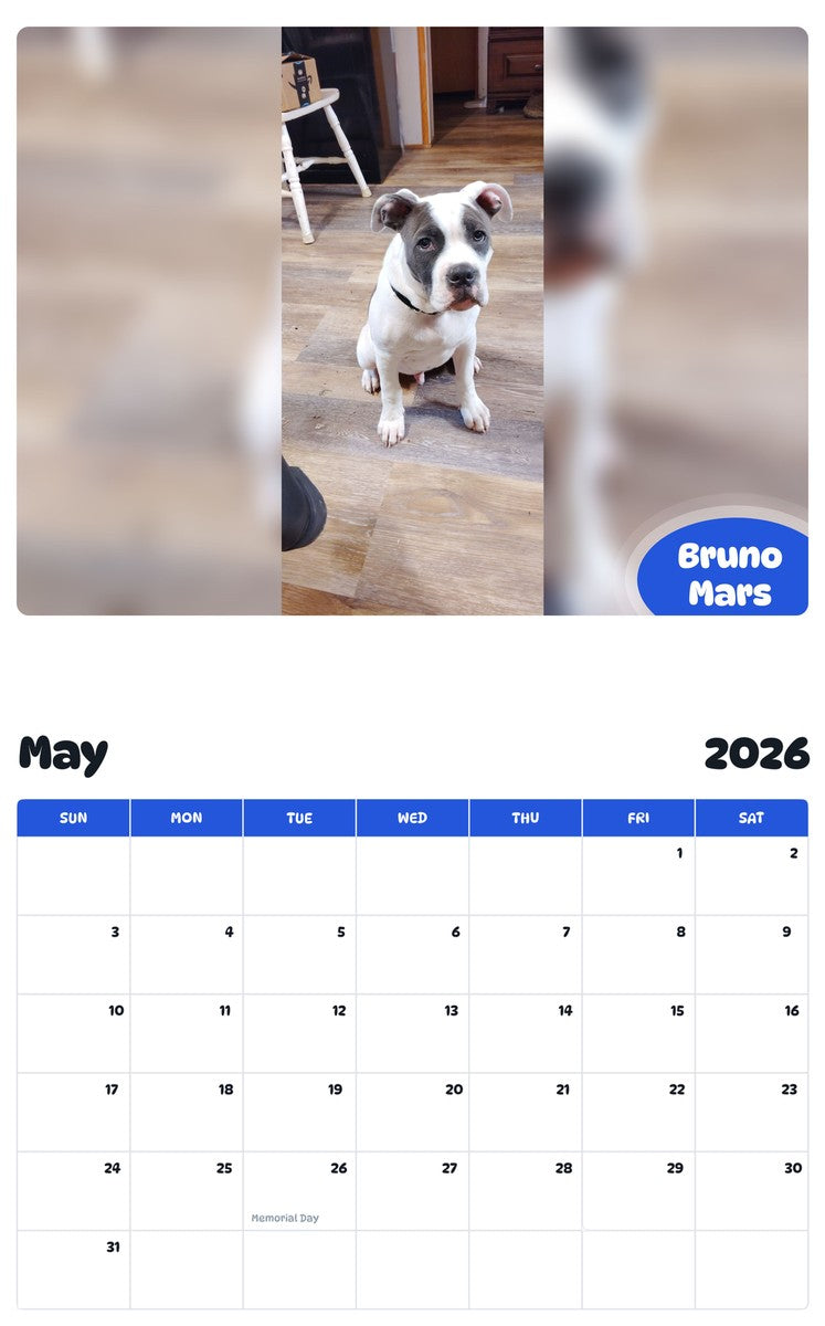 2026 - 2027 Bruno Mars - Pawidols Pet Calendar