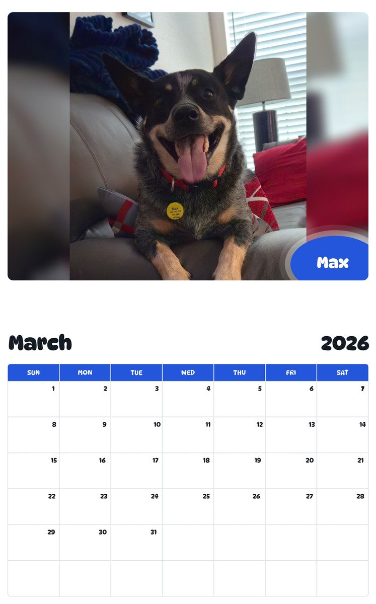 November 2025 - October 2026 Max - Pawidols Pet Calendar
