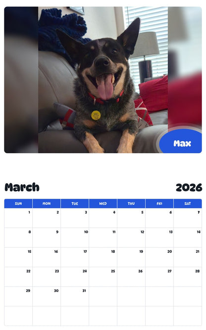 November 2025 - October 2026 Max - Pawidols Pet Calendar
