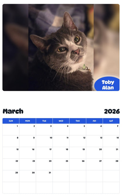 November 2025 - October 2026 Toby Alan - Pawidols Pet Calendar