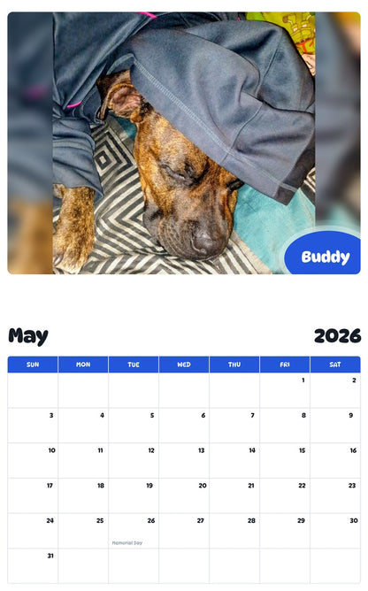 2026 - 2027 Buddy - Pawidols Pet Calendar
