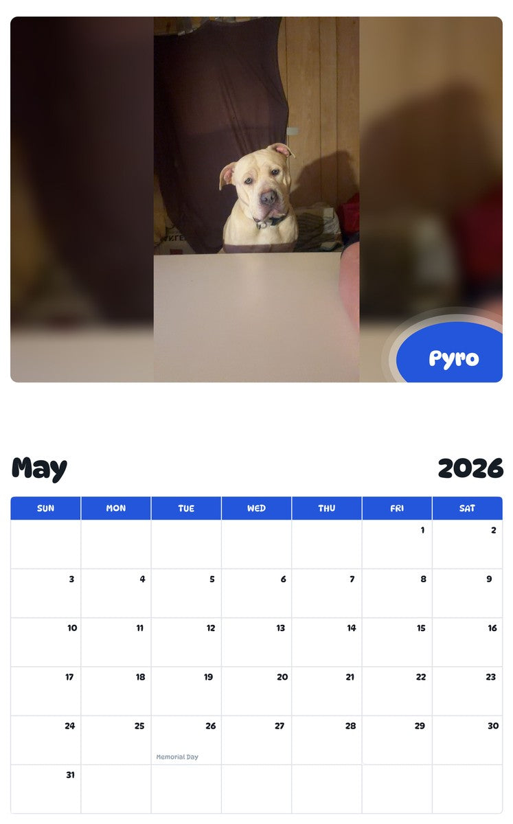 2026 - 2027 Pyro - Pawidols Pet Calendar