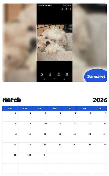 November 2025 - October 2026 Danearys - Pawidols Pet Calendar