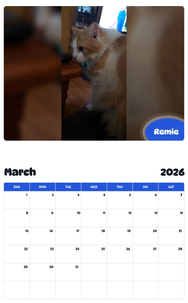 November 2025 - October 2026 Remie - Pawidols Pet Calendar