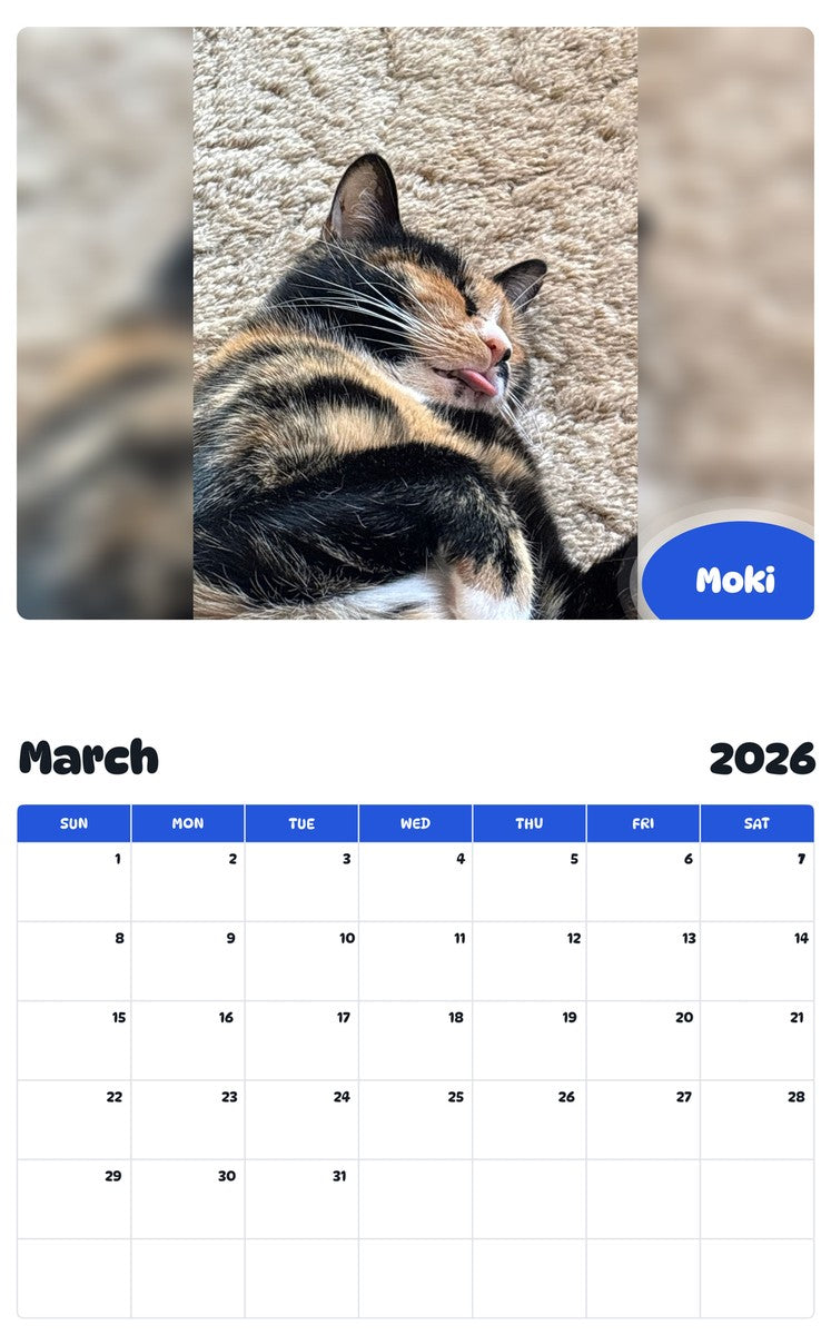 November 2025 - October 2026 Moki - Pawidols Pet Calendar